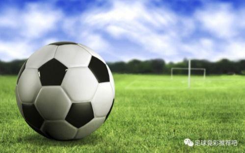 荷兰足球爆料视频最新下载,独家下载揭秘赛场幕后风云  第1张