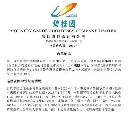 碧桂园爆料最新公告,揭秘重大战略调整与未来发展动向 第2张 碧桂园爆料最新公告,揭秘重大战略调整与未来发展动向 第2张