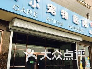保定宠物店爆料视频大全,揭露行业黑幕与温馨瞬间 第1张 保定宠物店爆料视频大全,揭露行业黑幕与温馨瞬间 第1张