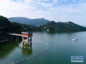 莆田水库爆料事件视频最新,真相与争议交织的环保风暴  第3张